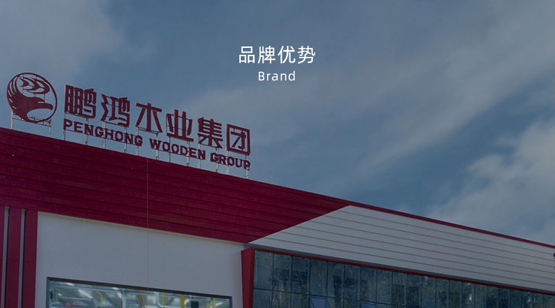 板材品牌、全屋定制品牌、生態(tài)板十大品牌