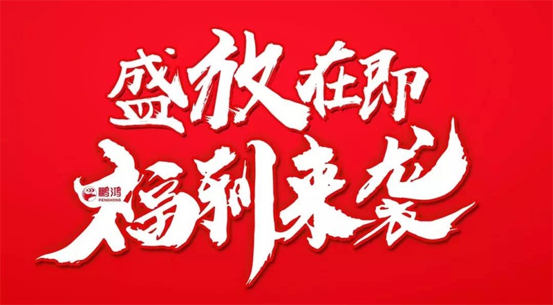 再拓疆域！鵬鴻We+定制&紅星美凱龍聯(lián)袂亮相烏魯木齊