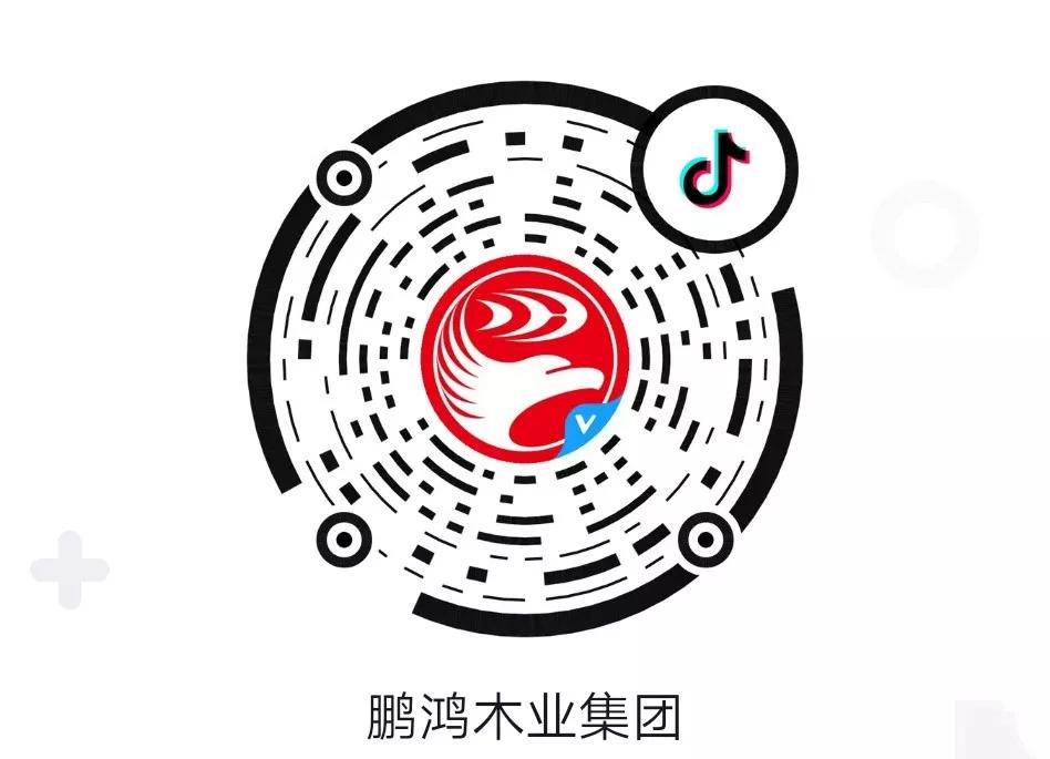 這廂有禮丨這個春節(jié)我最鴻，抖音相伴幸福年
