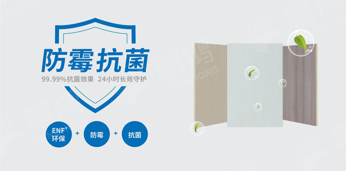 抗菌防霉木質(zhì)裝飾板行業(yè)標(biāo)準(zhǔn)研討工作會(huì)圓滿(mǎn)召開(kāi)